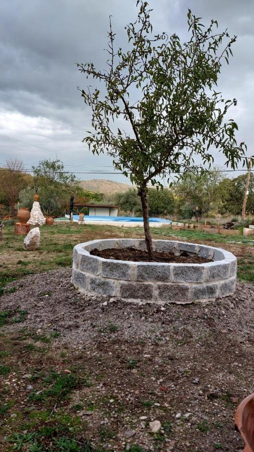 El Refugio De Las Arribes Villarino de los Aires ภายนอก รูปภาพ